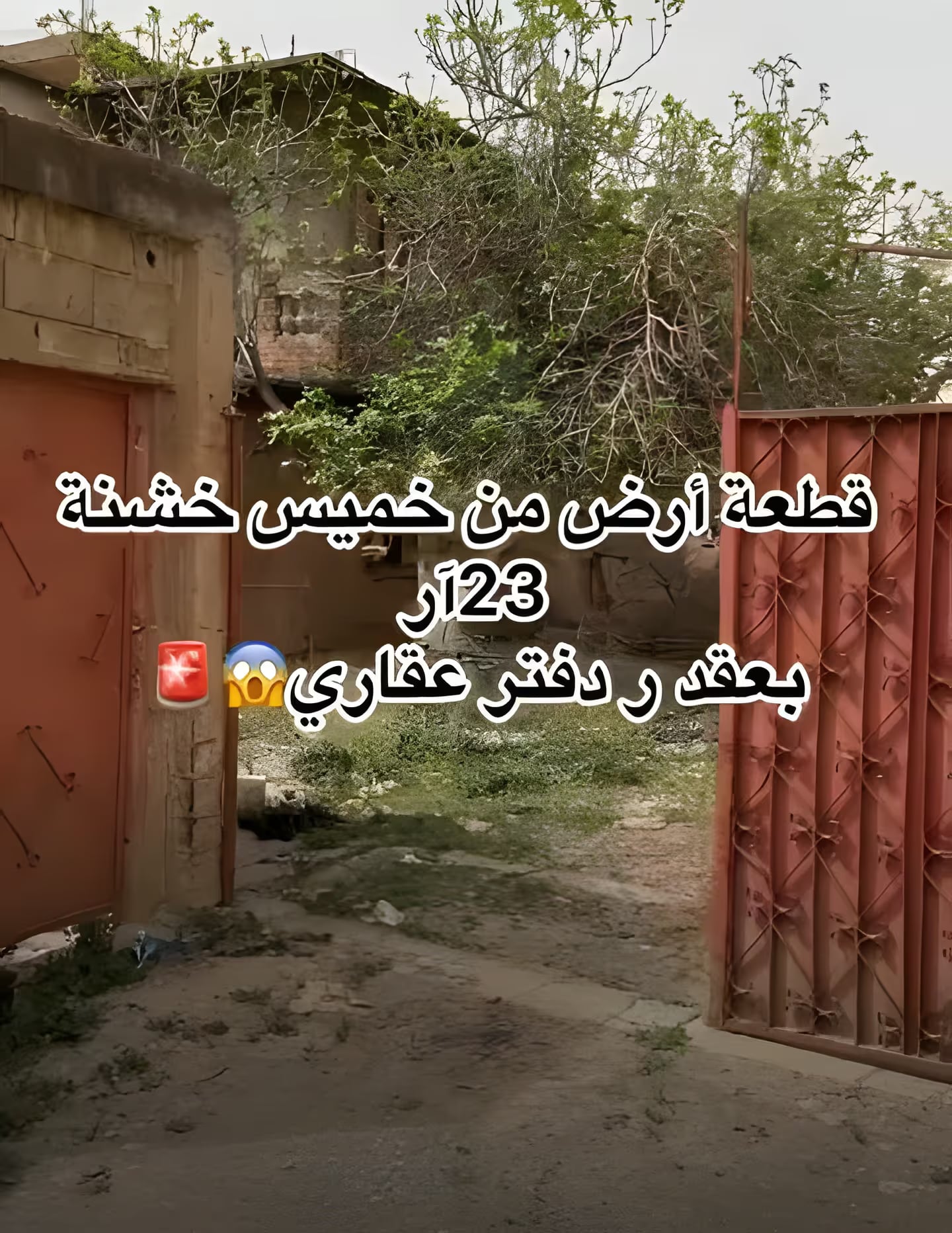 Vente Terrain Alger Baraki