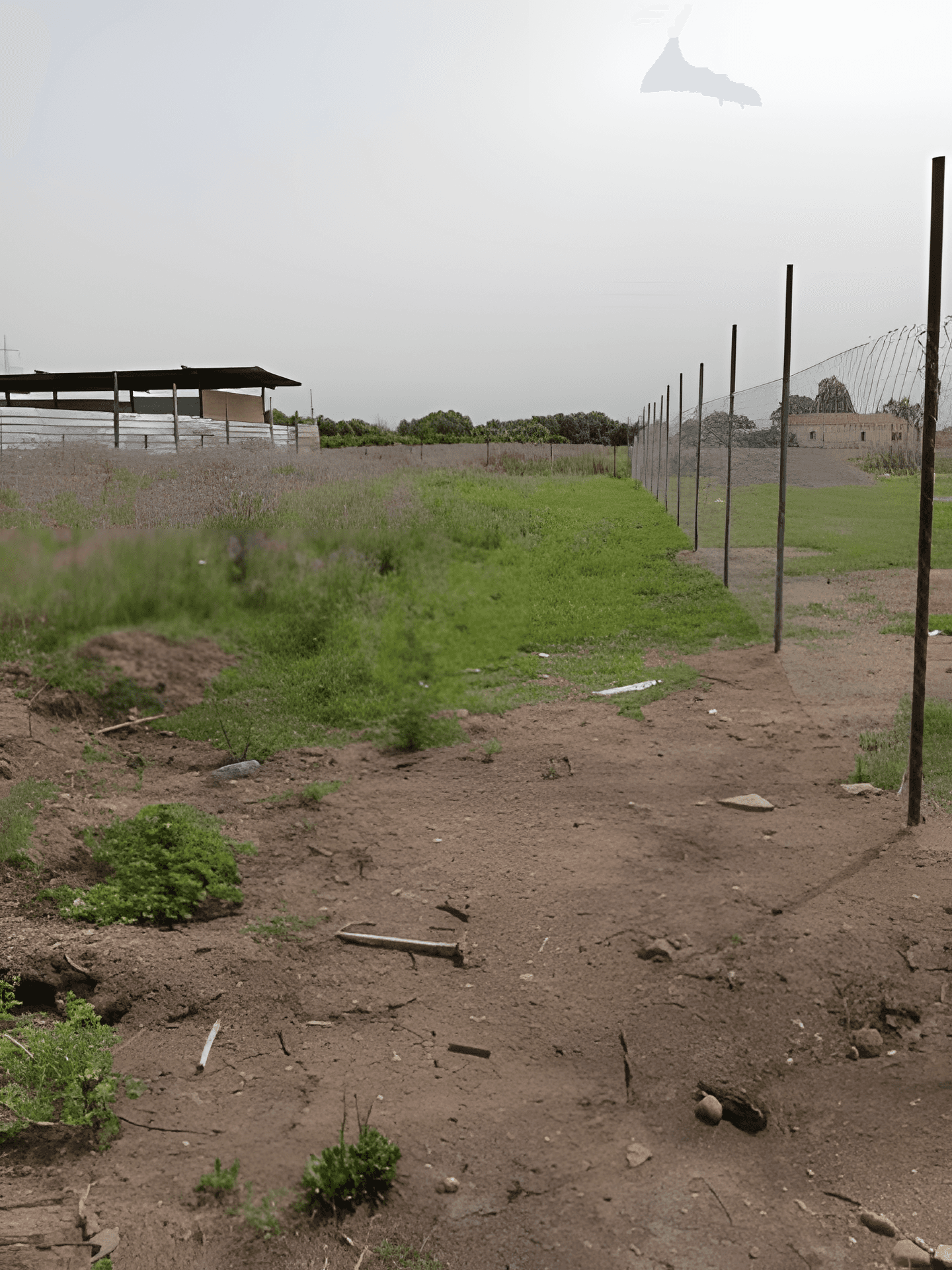 Vente Terrain Boumerdès Boudouaou - Photo 1