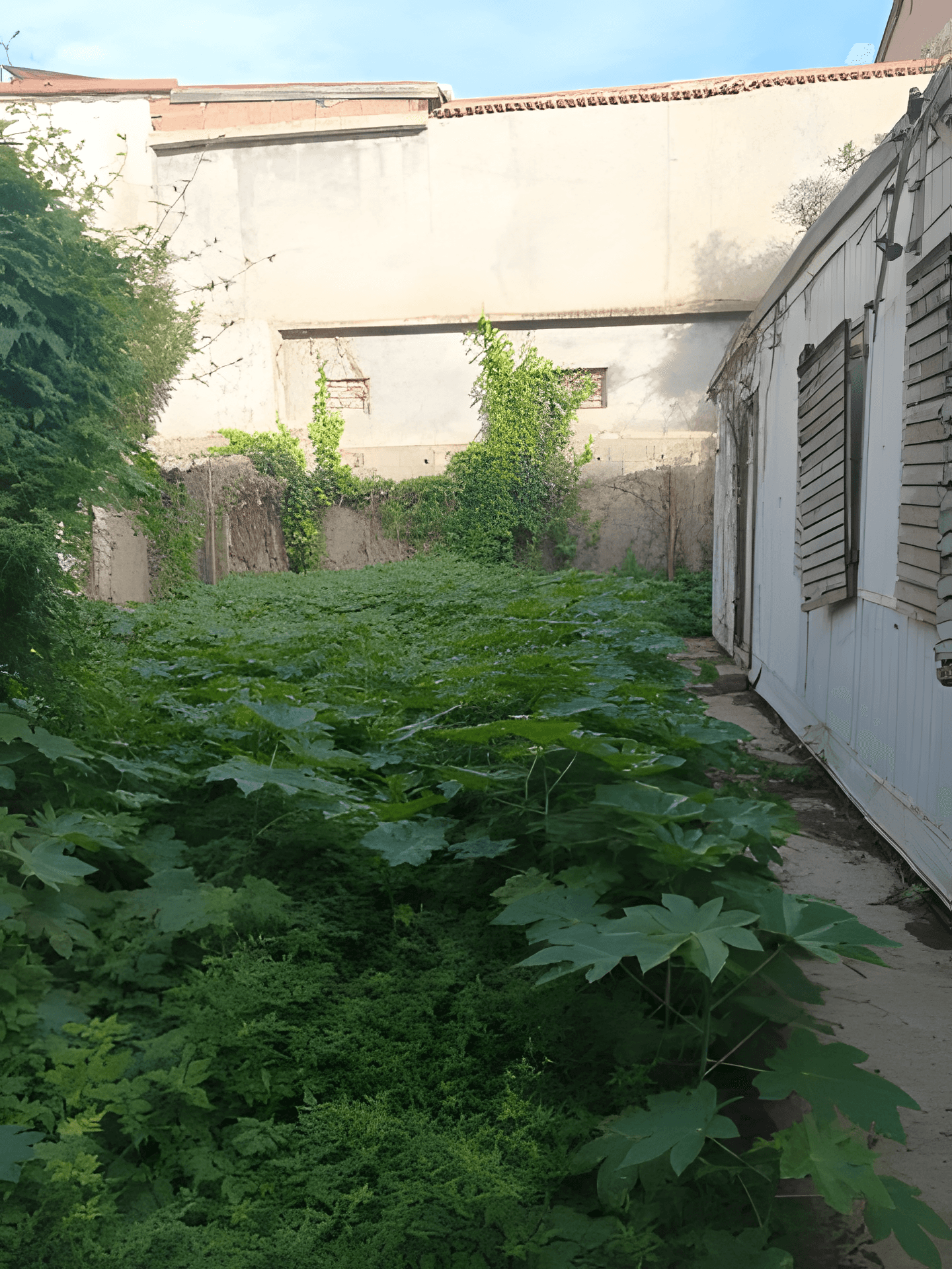 Vente Terrain Boumerdès Boumerdes - Photo 1