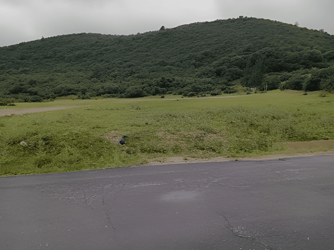 Vente Terrain Boumerdès Tidjelabine - Photo 1