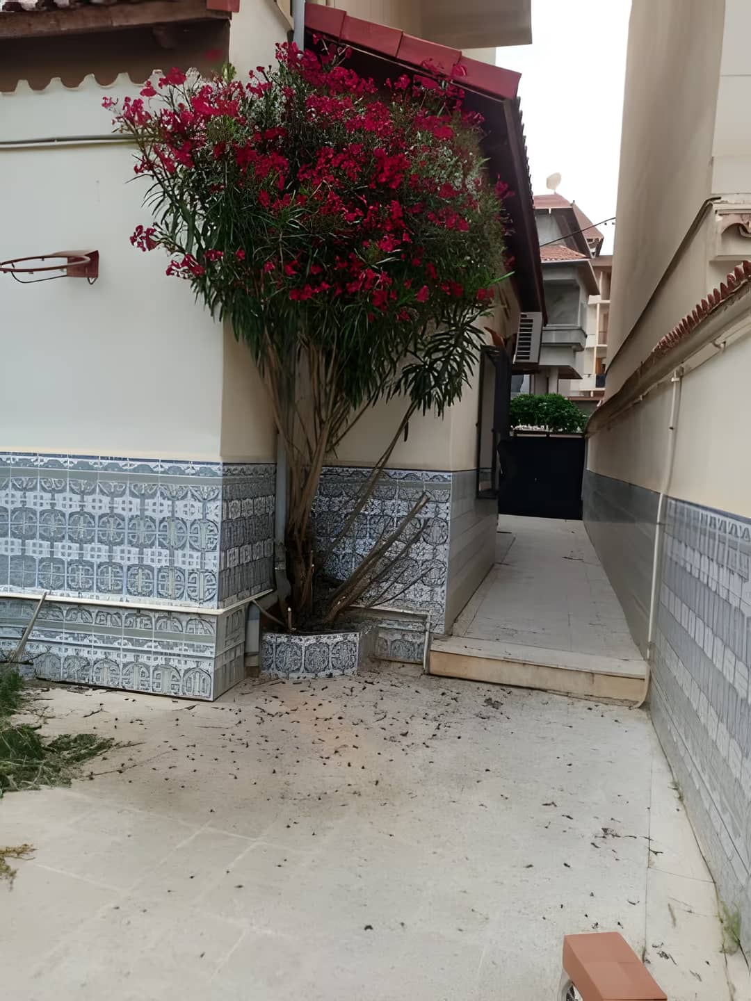 Location Villa Alger Cheraga - Photo 1