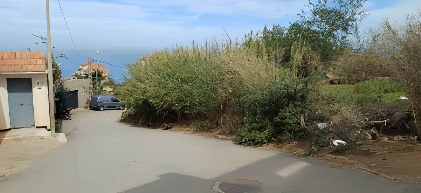 Vente Terrain Alger Rais Hamidou - Photo 1