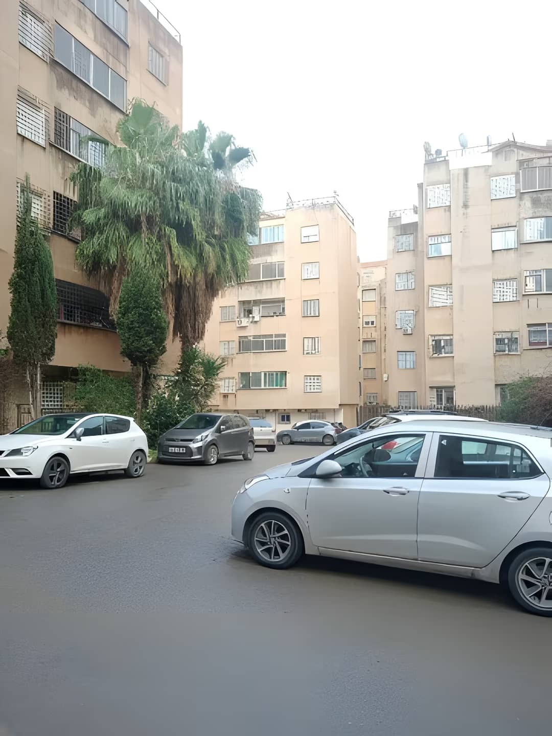 Vente Duplex F5 Alger El Achour - Photo 1