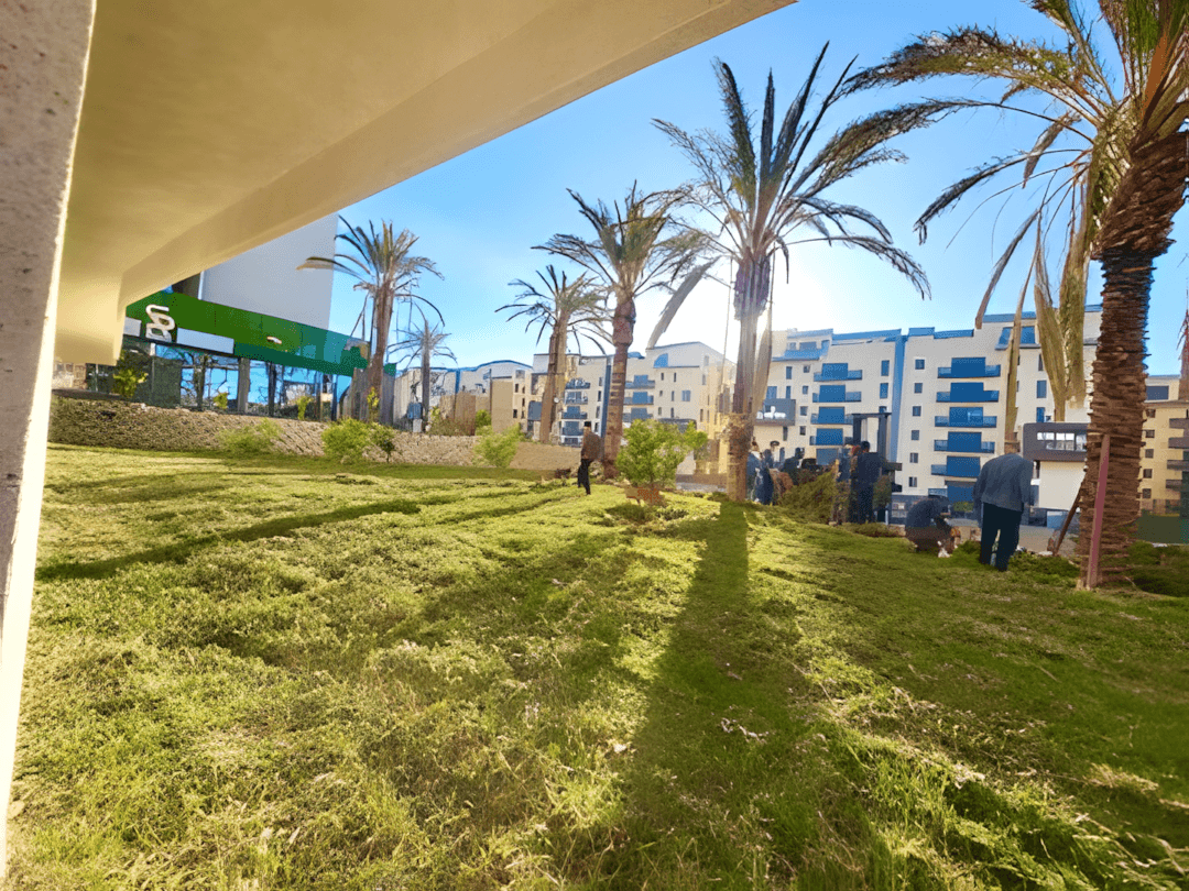 Vente Appartement F4 Boumerdès Ouled Hedadj