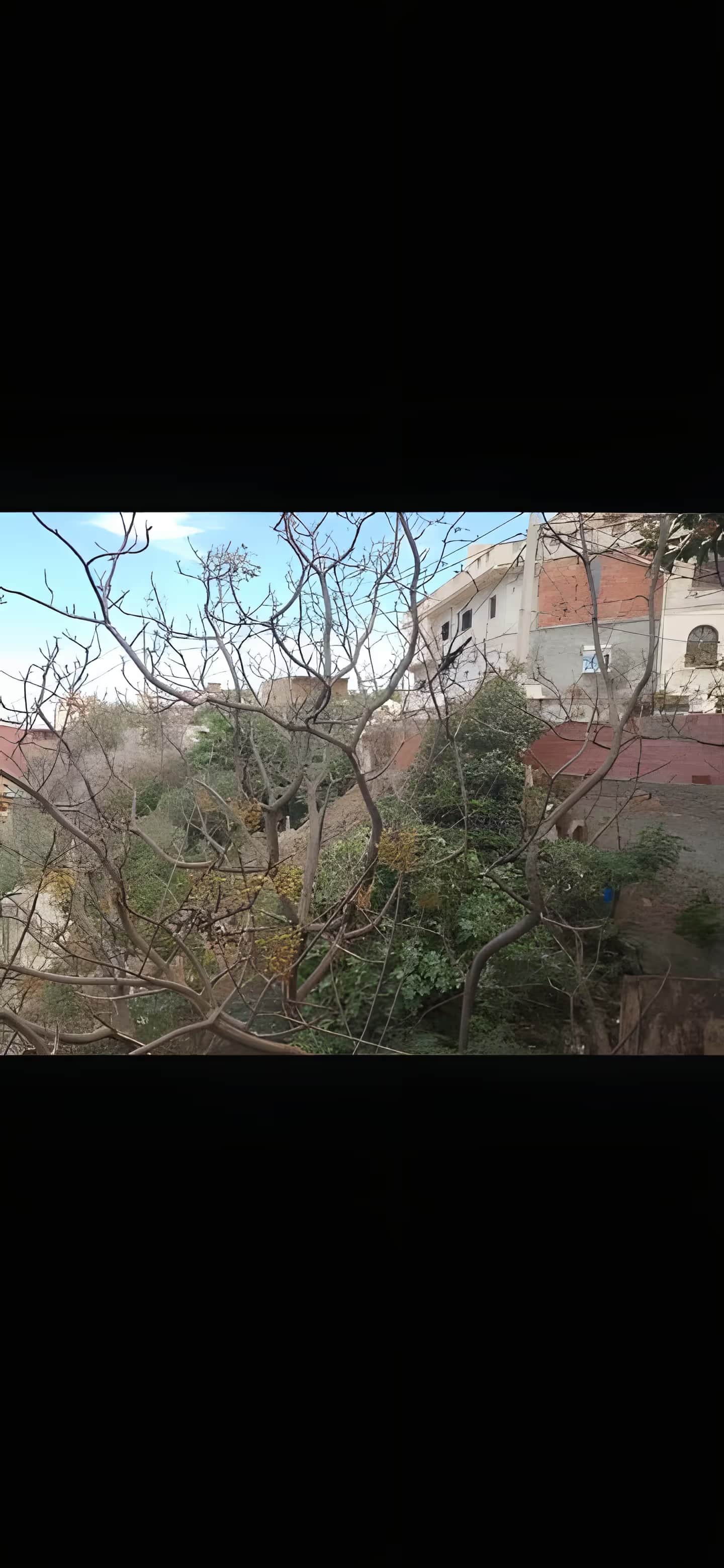 Vente Terrain Tipaza Bou Haroun - Photo 1