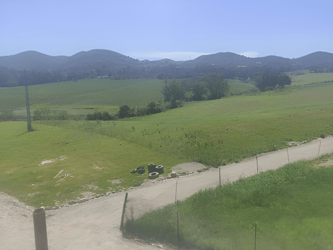 Vente Terrain Boumerdès Tidjelabine