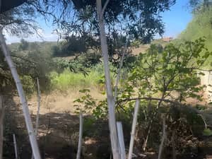 Vente Terrain Alger Ouled Fayet