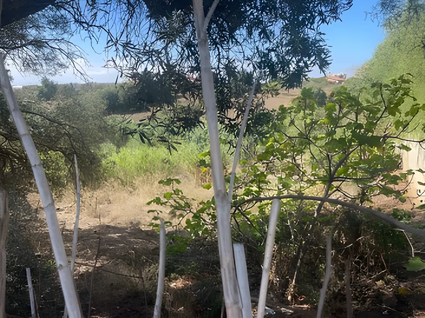 Vente Terrain Alger Ouled Fayet