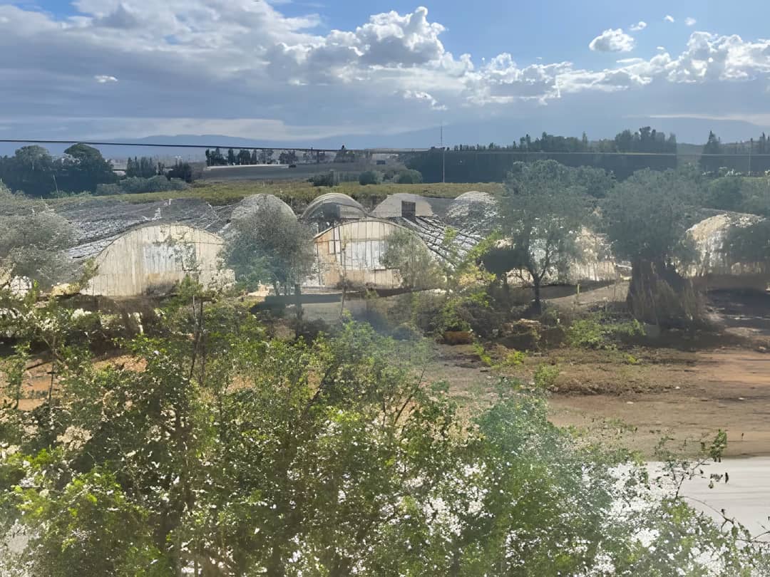 Vente Terrain Alger Souidania - Photo 1