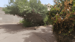 Vente Terrain Boumerdès Zemmouri - Photo 3