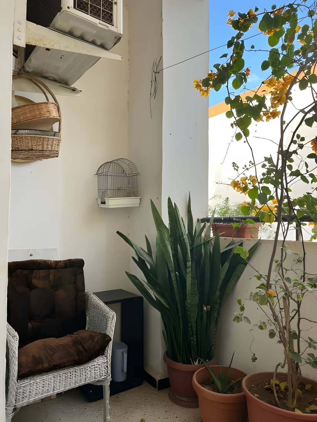 Vente Appartement F3 Alger Ain Naadja - Photo 4