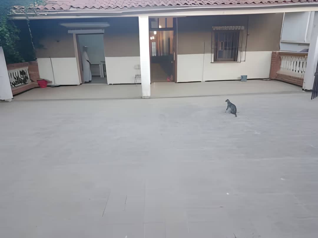 Location Appartement F4 Alger El Achour - Photo 7