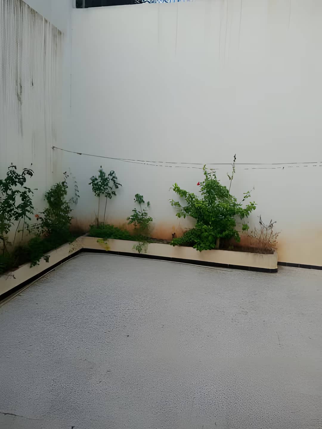 Location Niveau De Villa F4 Alger Hydra - Photo 7