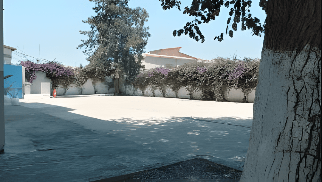 Location Immeuble Alger El Achour - Photo 7