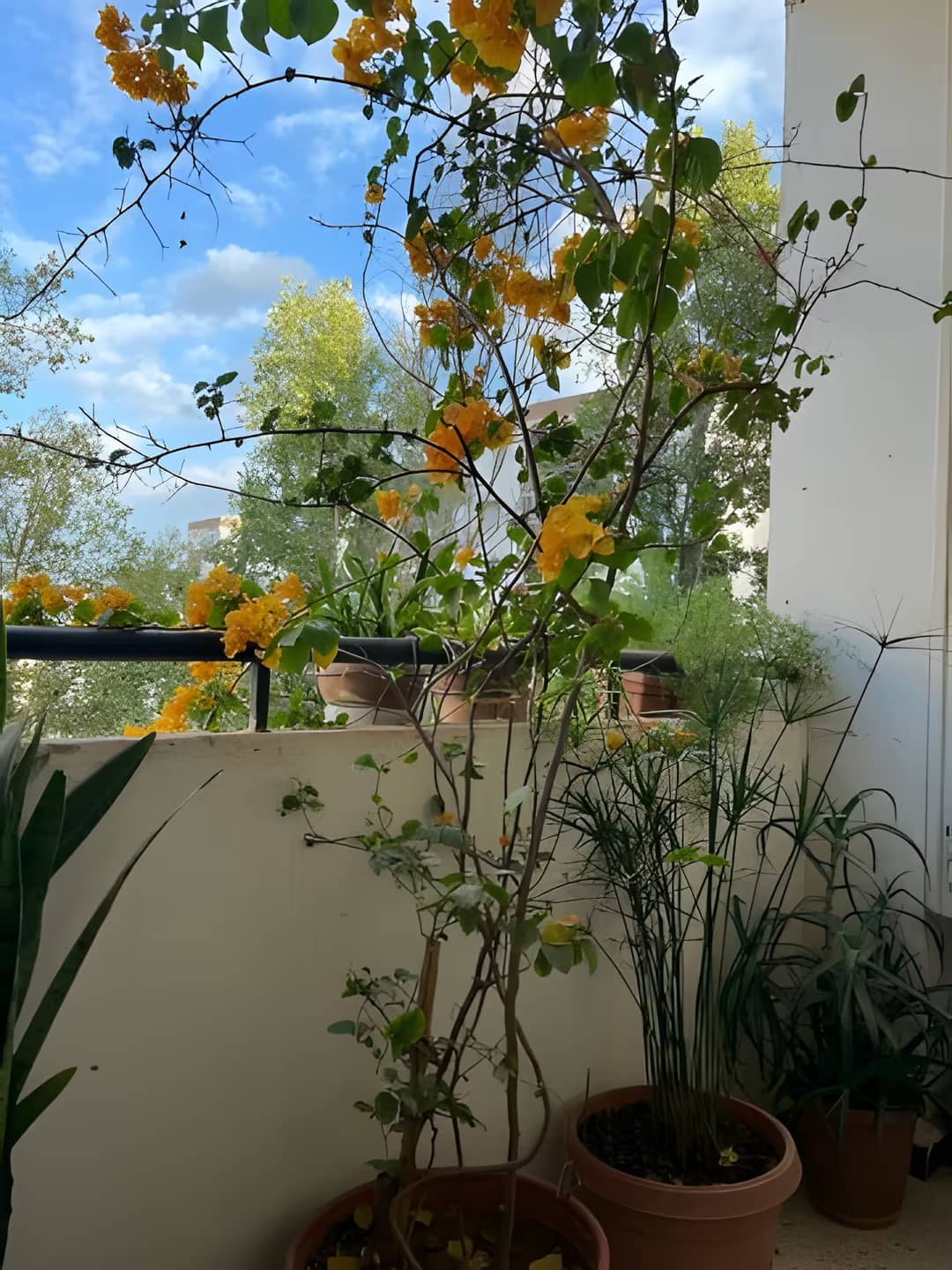 Vente Appartement F3 Alger Ain Naadja - Photo 7