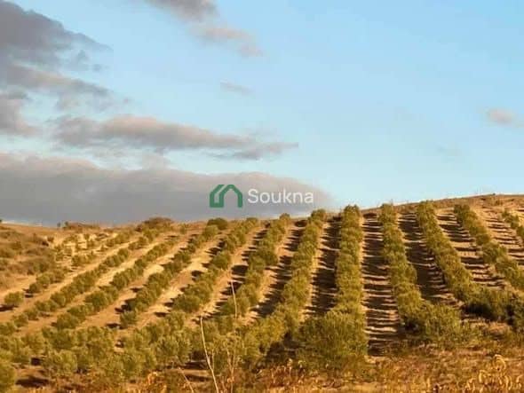 À vendre Ferme de prestige - Photo 1