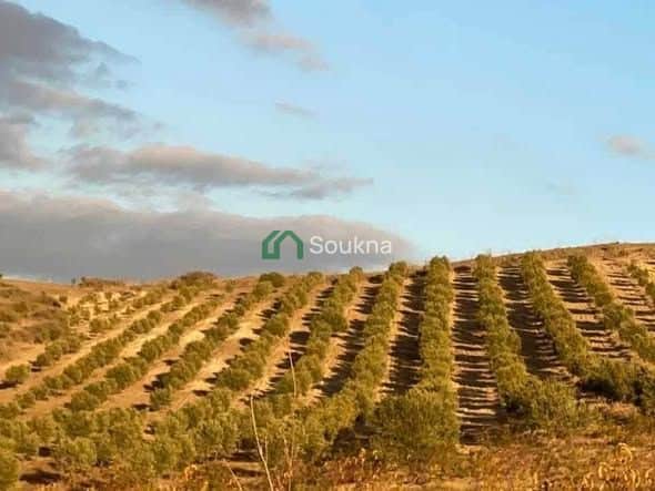 À vendre Ferme de prestige - Photo 1