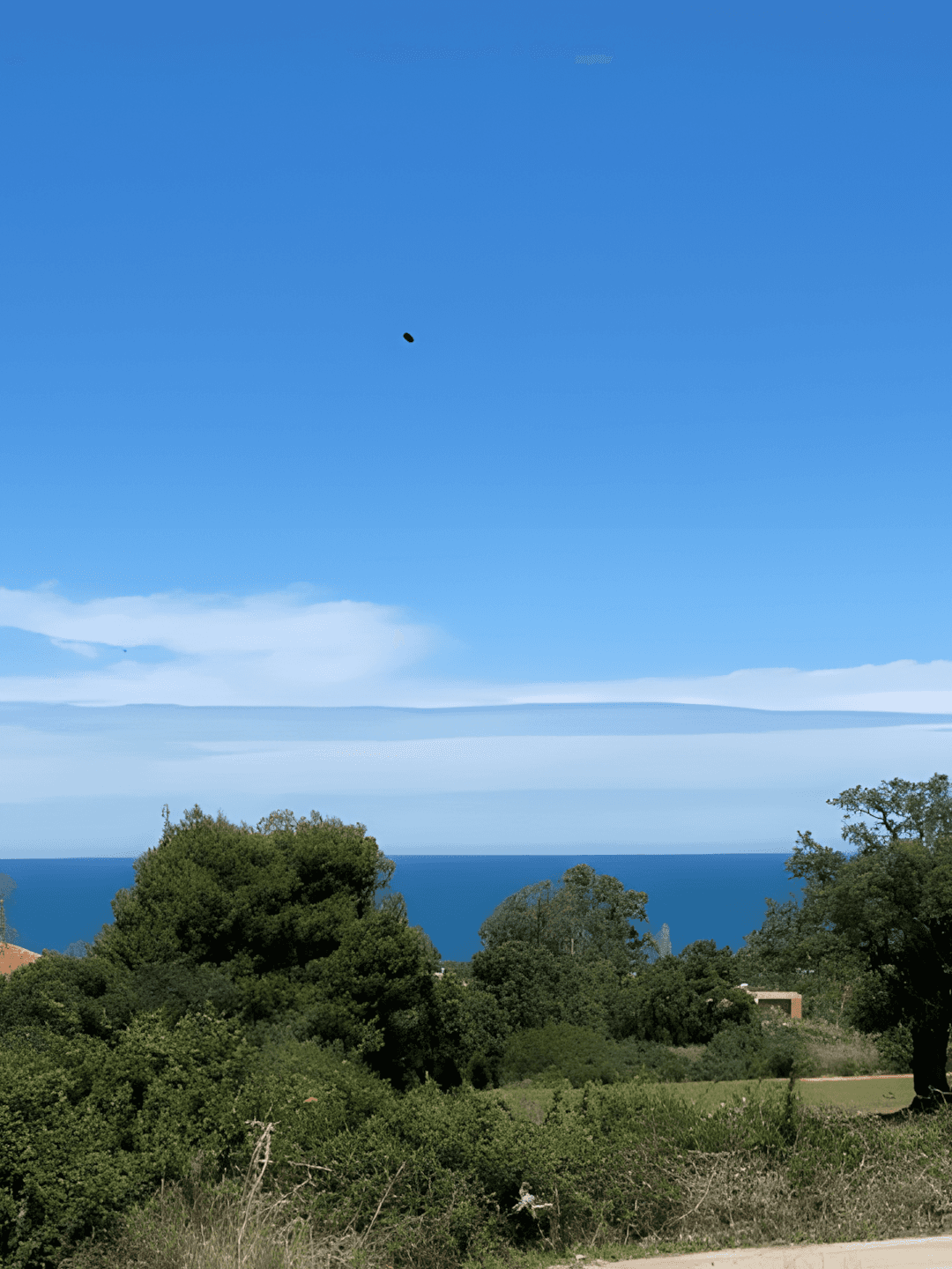 Vente Terrain Boumerdès Zemmouri - Photo 1