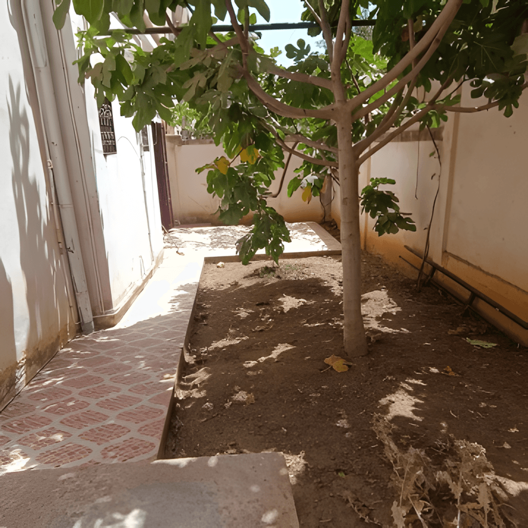 Vente Villa Boumerdès Corso - Photo 8