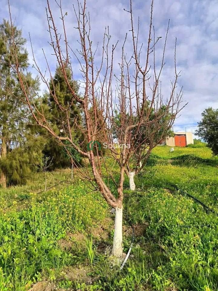 À vendre Ferme de prestige - Photo 8