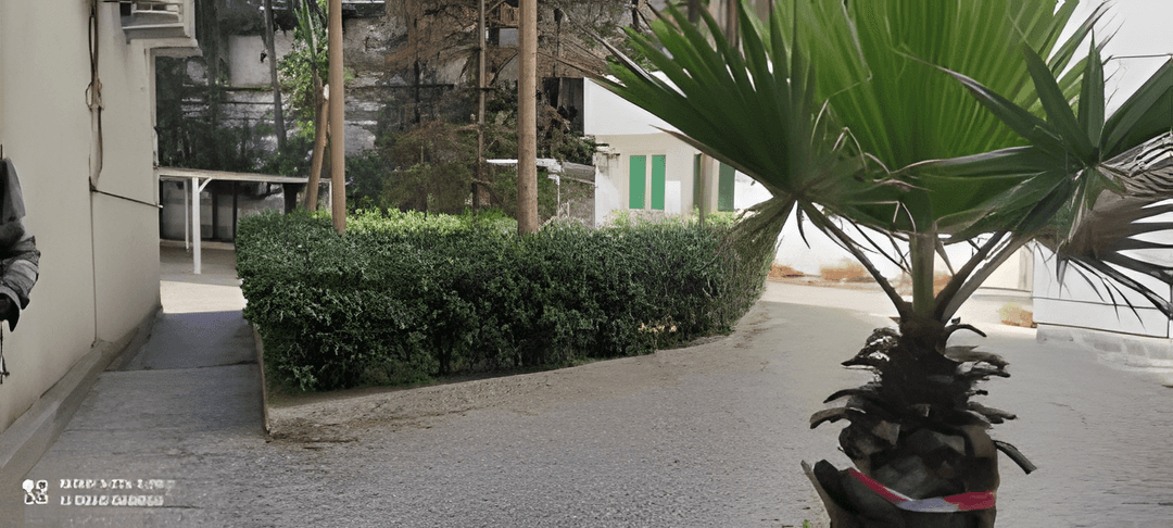 Location Immeuble Alger Hydra - Photo 11