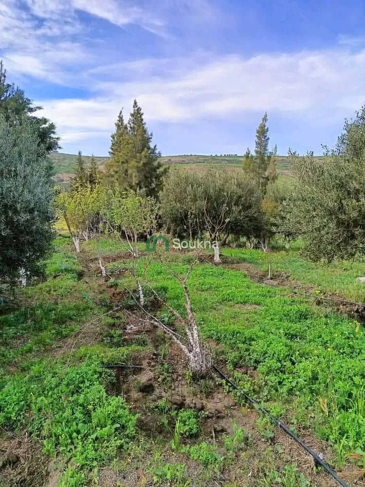 À vendre Ferme de prestige - Photo 9