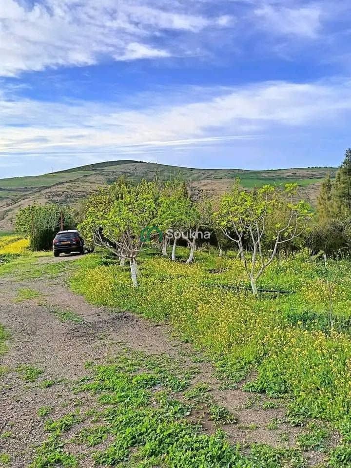 À vendre Ferme de prestige - Photo 10