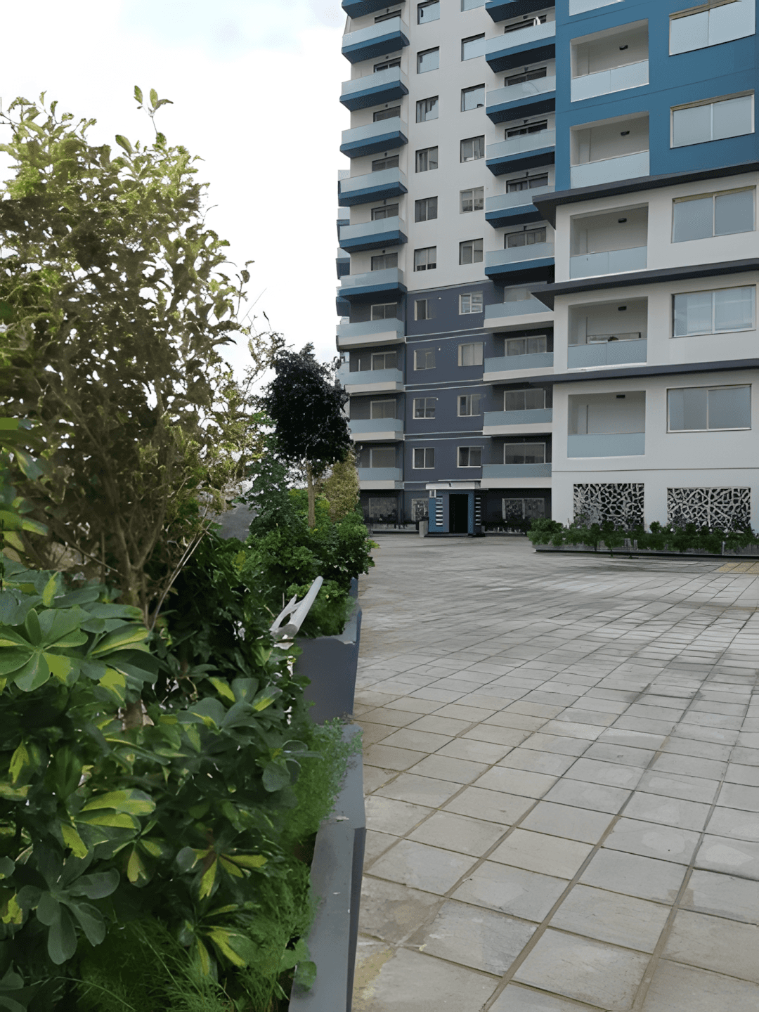 Vente Appartement F3 Alger Birkhadem - Photo 10