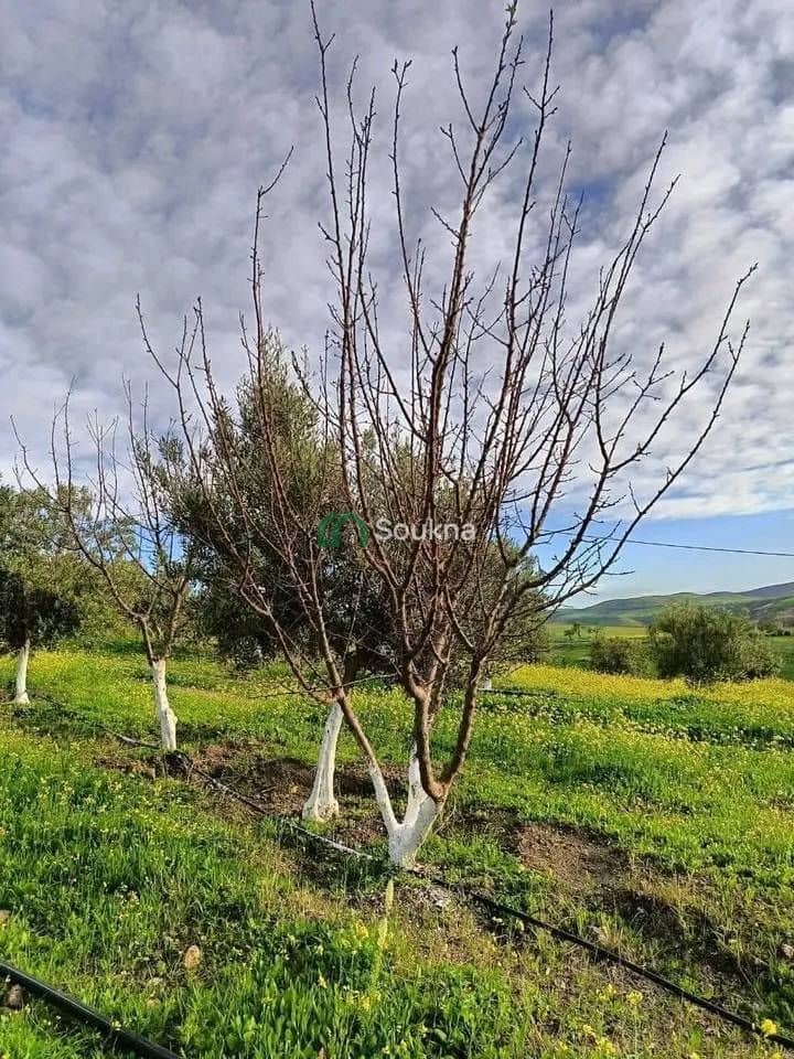 À vendre Ferme de prestige - Photo 13