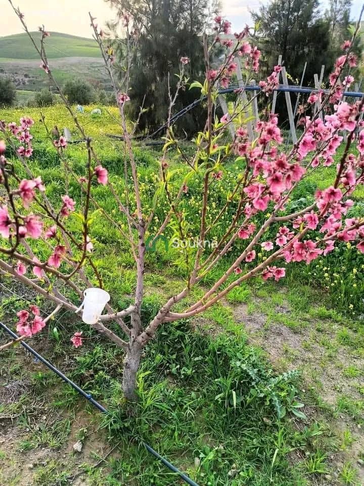 À vendre Ferme de prestige - Photo 14