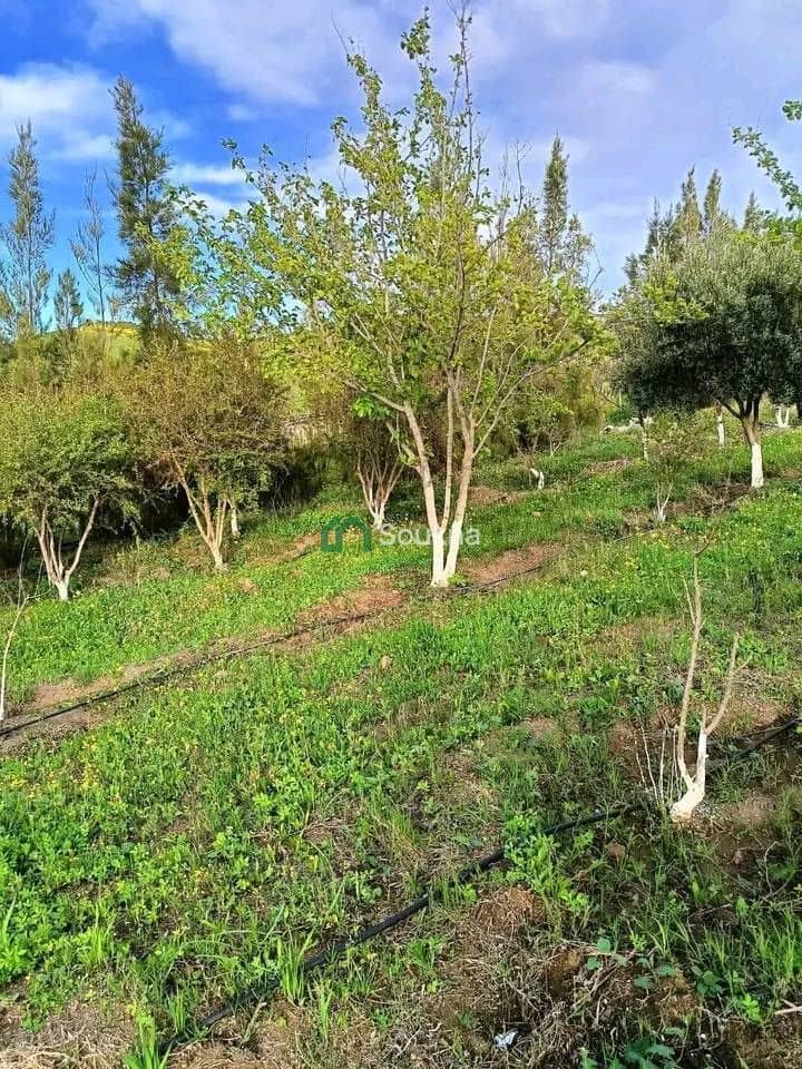 À vendre Ferme de prestige - Photo 15