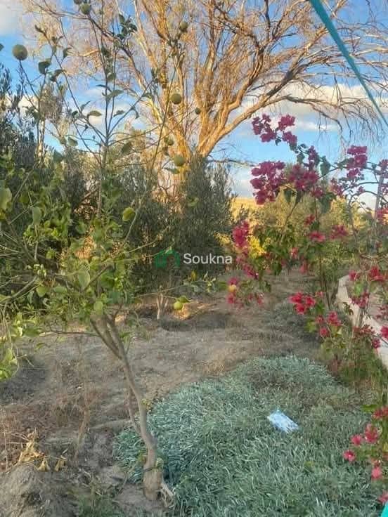 À vendre Ferme de prestige - Photo 16