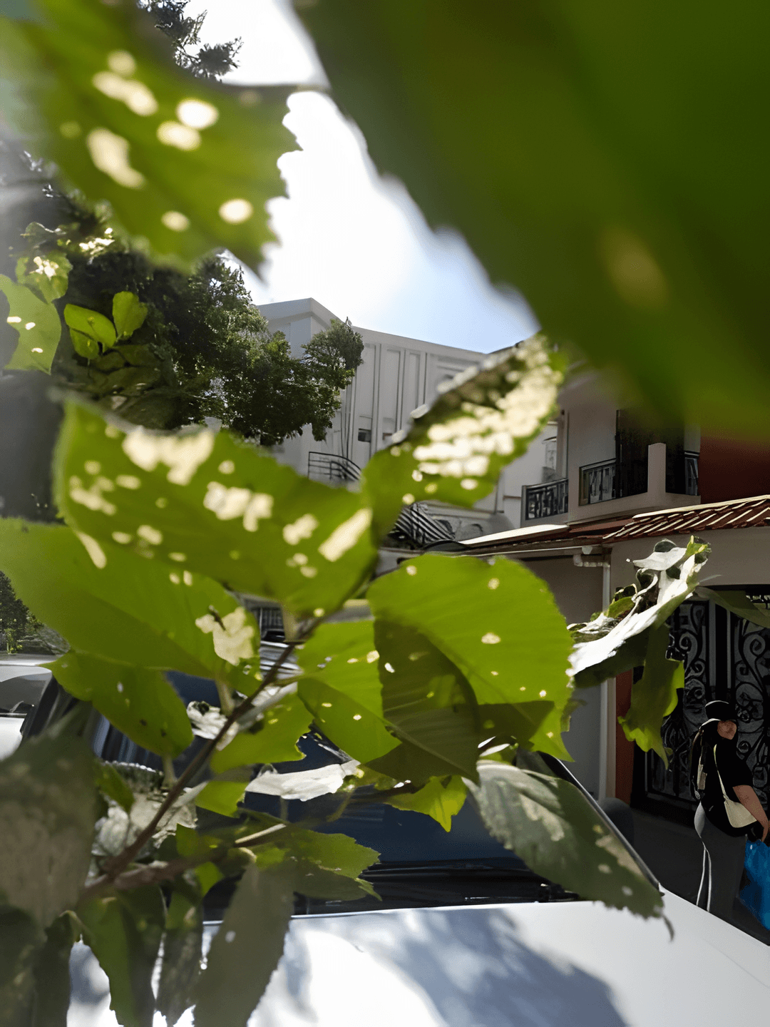 Location Villa Alger El Achour - Photo 19