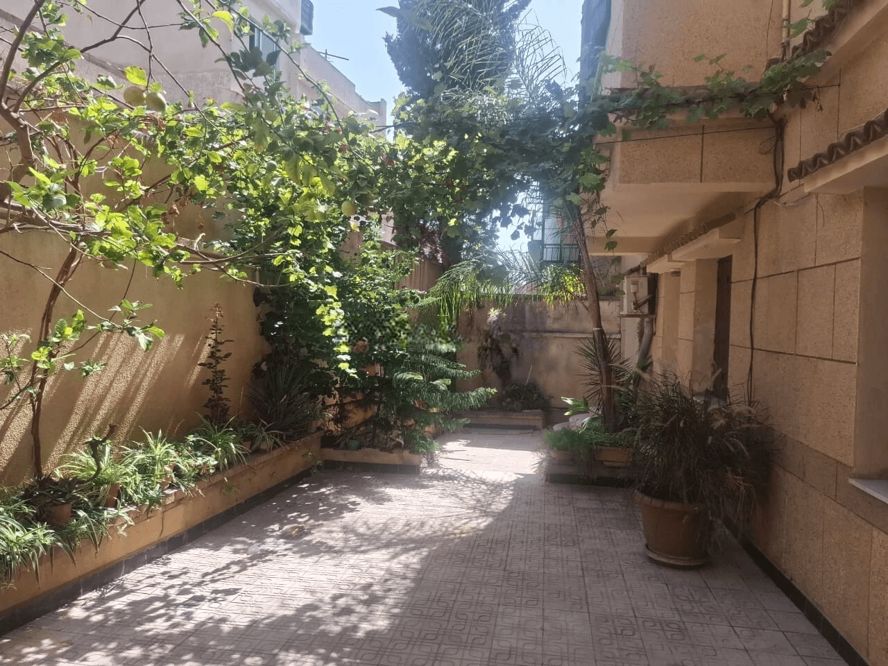 Vente Villa Alger Ben aknoun