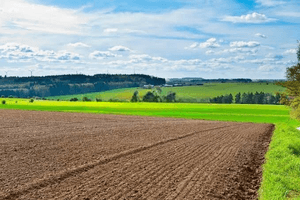 Vente Terrain Agricole Alger Souidania