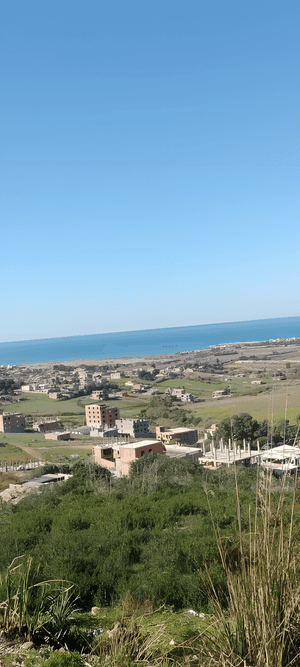 Vente Terrain Boumerdès Zemmouri - Photo 2