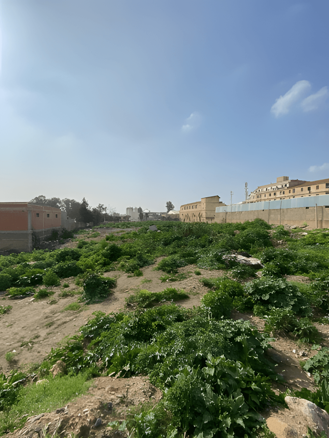 Vente Terrain Boumerdès Boudouaou - Photo 2