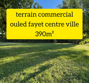 Vente Terrain Alger Ouled fayet