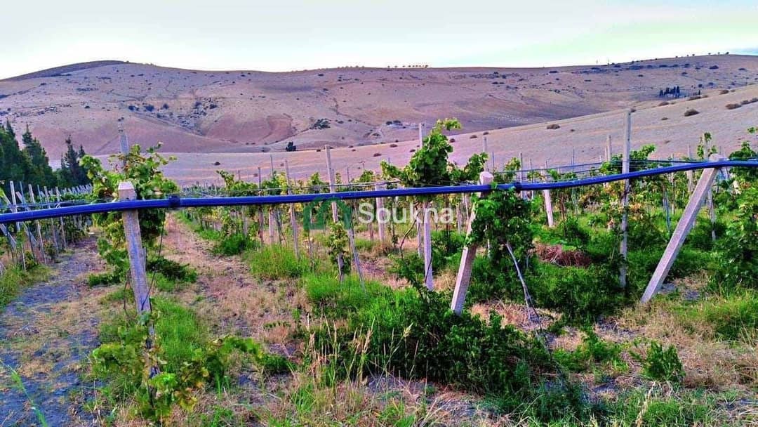 À vendre Ferme de prestige - Photo 3