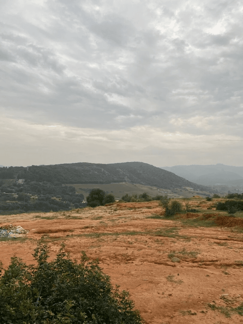 Vente Terrain Boumerdès Boumerdes - Photo 2