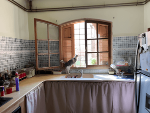 Vente Villa Tipaza Cherchell - Photo 3