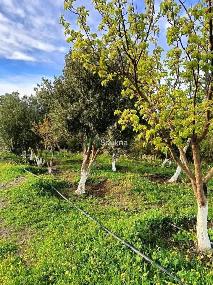 À vendre Ferme de prestige - Photo 4