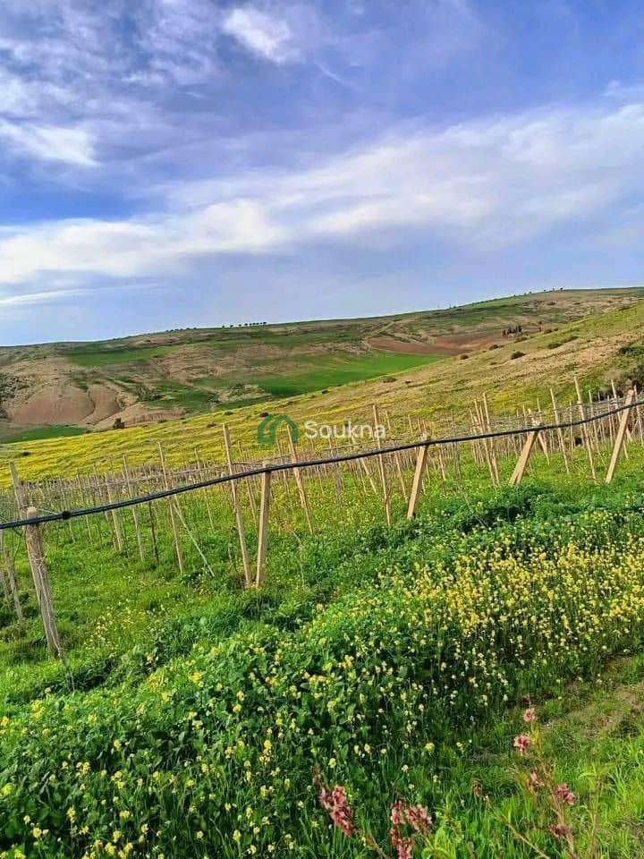 À vendre Ferme de prestige - Photo 6