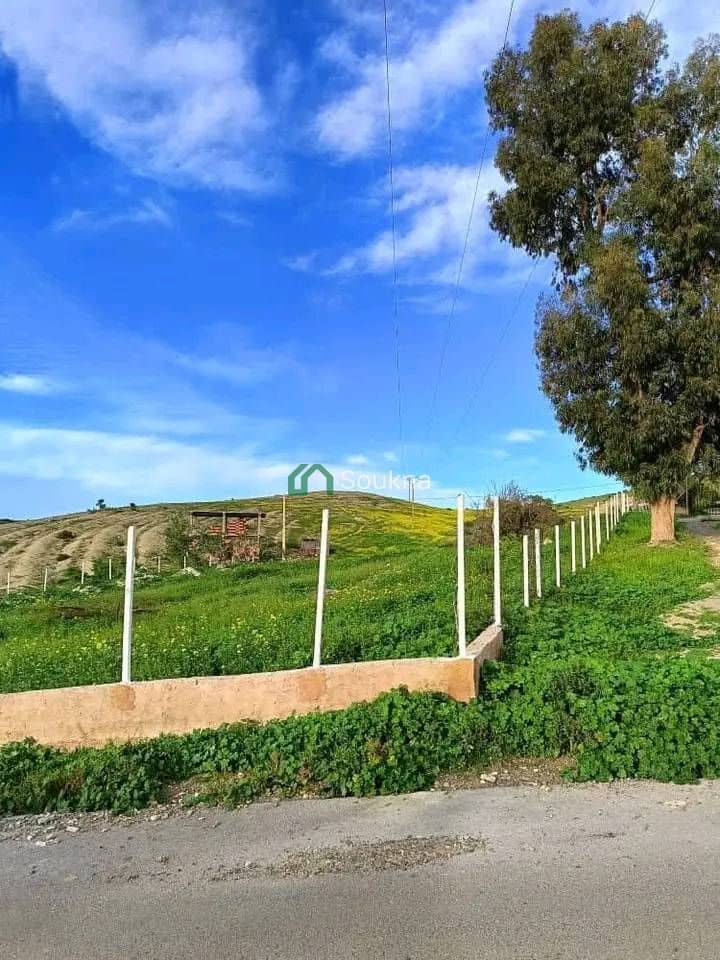 À vendre Ferme de prestige - Photo 12