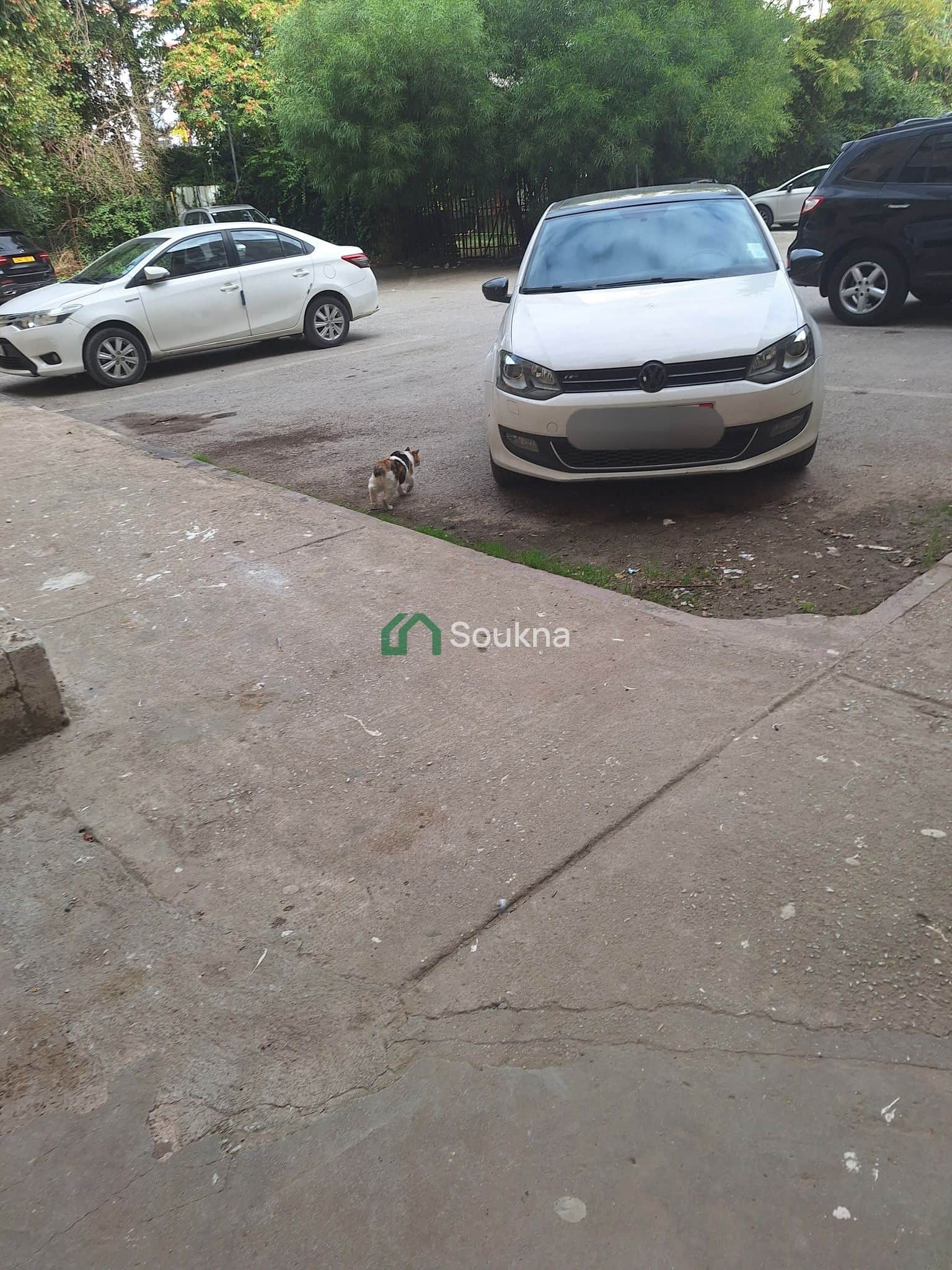 Appartement F3 a vendre - Photo 2